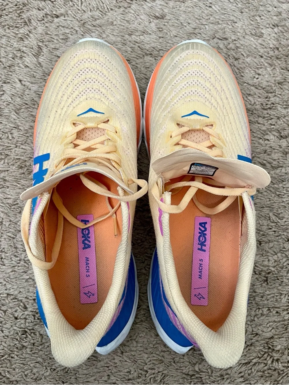 Hoka worn handful